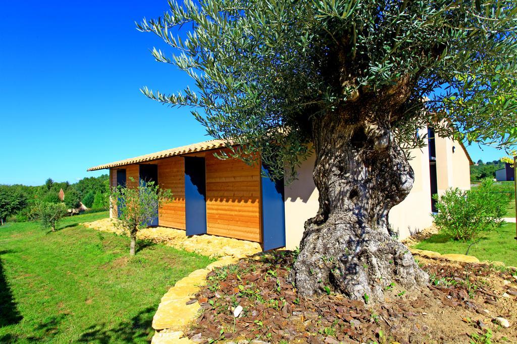 The Originals City, Hotel Albizia, Sarlat Exterior foto